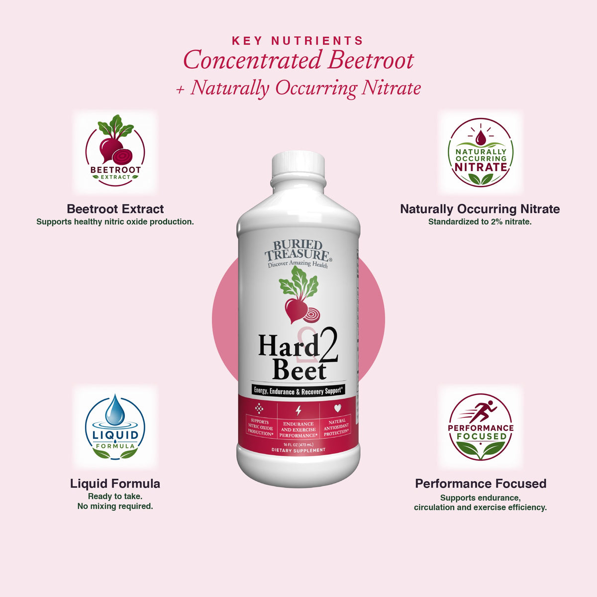 Buried Treasure Hard 2 Beet 16 oz (48 servings) — vista posterior del envase