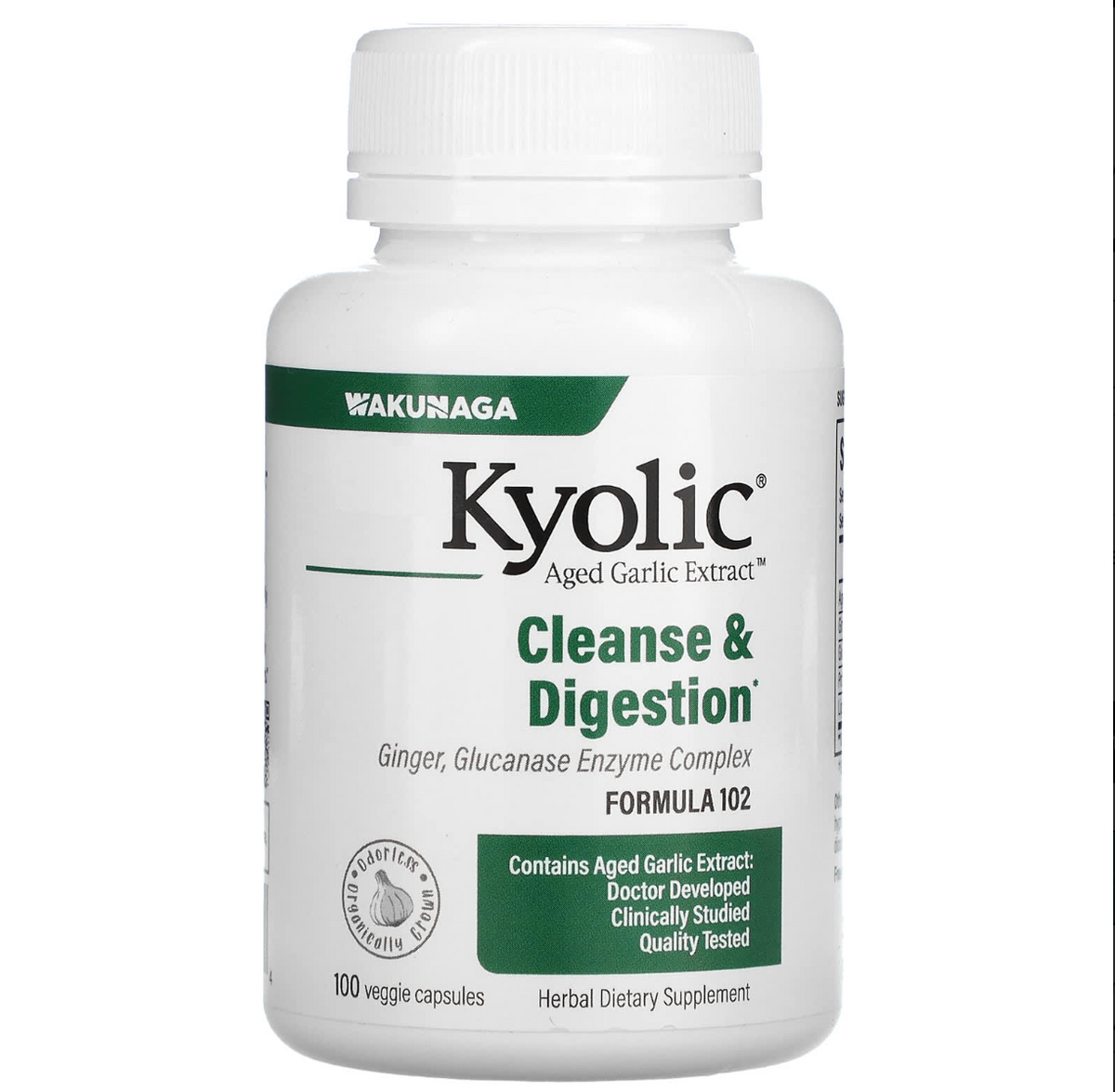 Kyolic Aged Garlic Extract w/ Ginger, Glucanese, Protease, Lipase Formula 102 (foto de archivo)