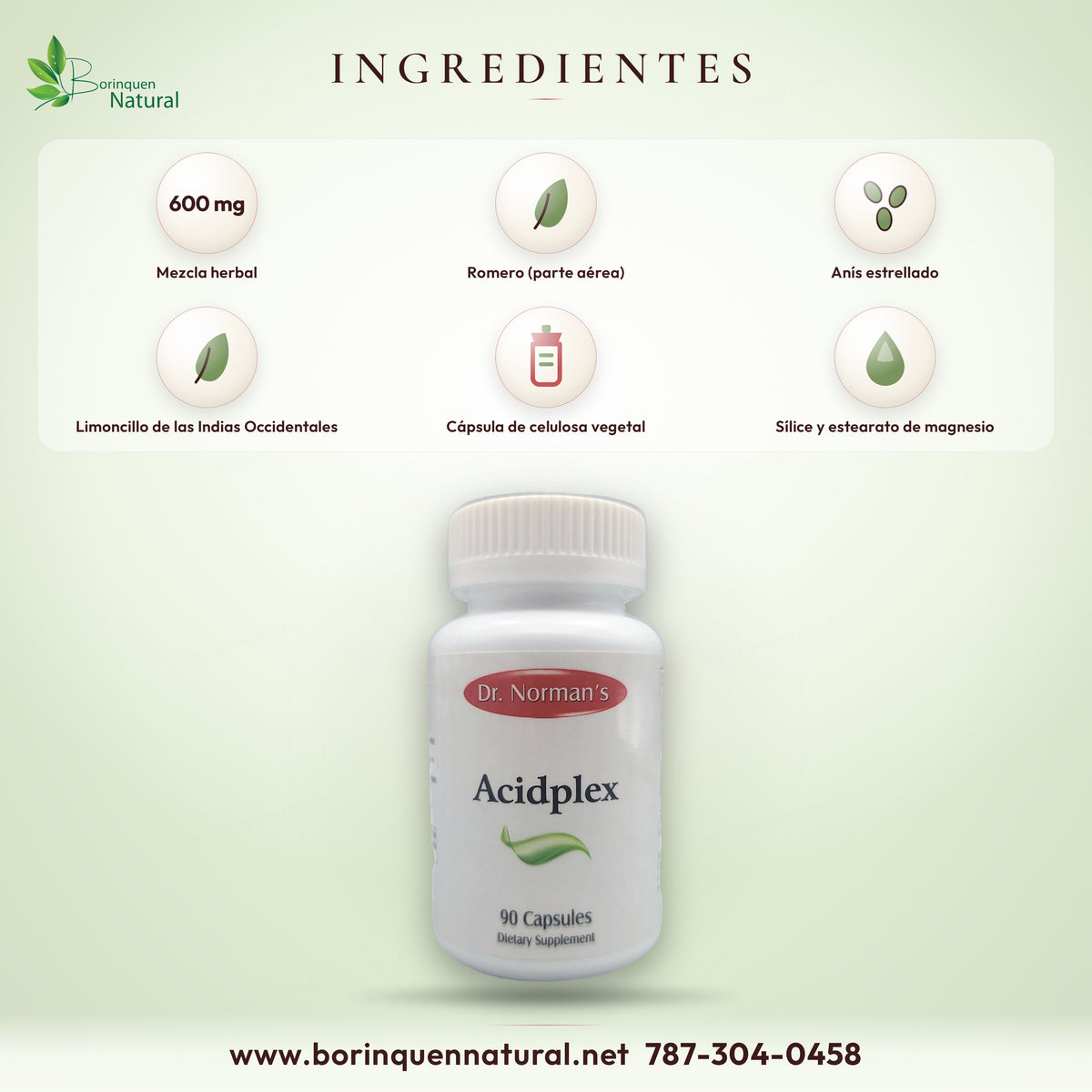 Ingredientes de Acidplex: 600 mg de mezcla herbal de romero, anís estrellado y limoncillo por 2 cápsulas
