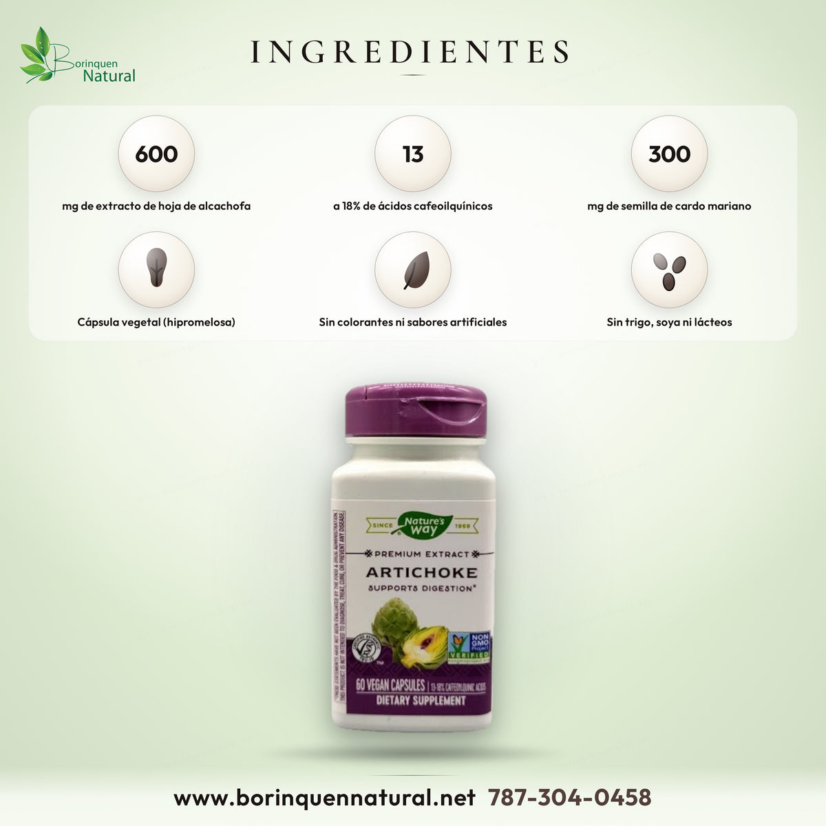 Ingredientes del extracto de alcachofa Nature's Way: 600 mg de extracto de hoja de alcachofa al 13-18% de ácidos cafeoilquínicos y 300 mg de extracto de semilla de cardo mariano