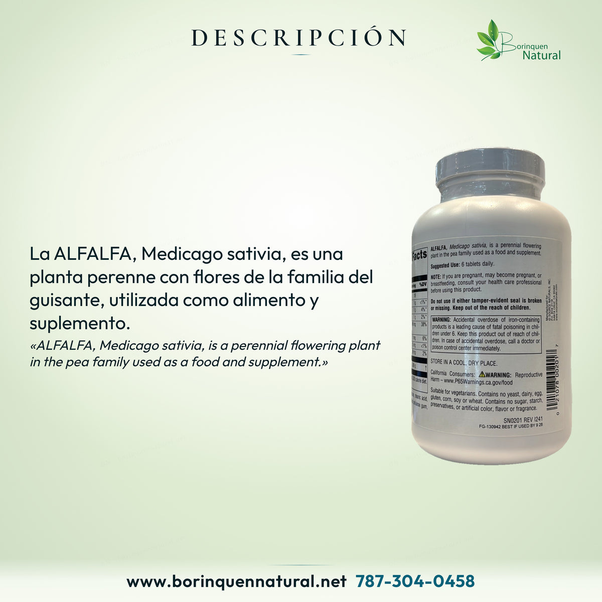 Descripción de la alfalfa, Medicago sativia, tal como aparece en el envase.