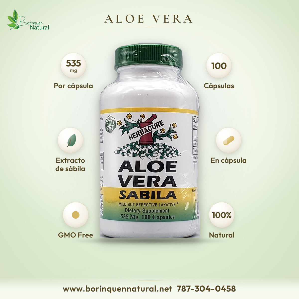 Pastillas de sábila Aloe Vera de Herbacure, 535 mg por cápsula, frasco de 100 cápsulas, sin transgénicos, hecho en EE. UU.