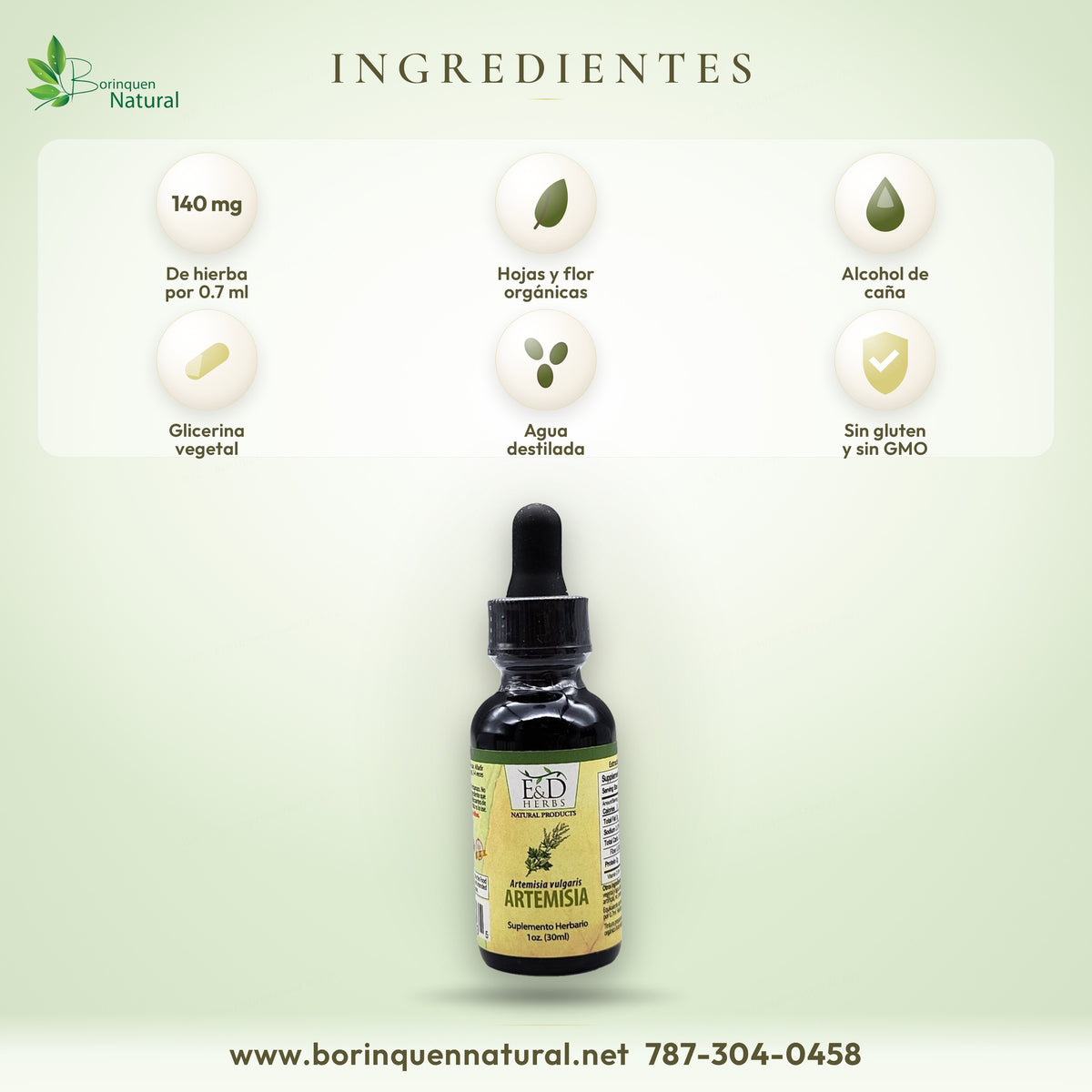 Ingredientes de la Artemisia E&D: hojas y flor, alcohol de caña, glicerina y agua