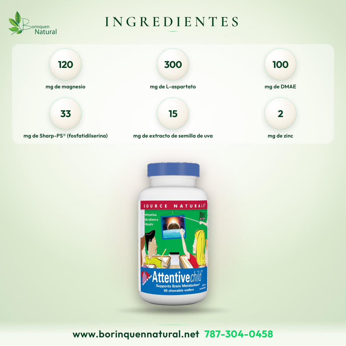 Ingredientes del Attentive Child de Source Naturals por 2 obleas: magnesio 120 mg, zinc 2 mg, L-aspartato 300 mg, DMAE 100 mg, Sharp-PS 33 mg y extracto de semilla de uva 15 mg