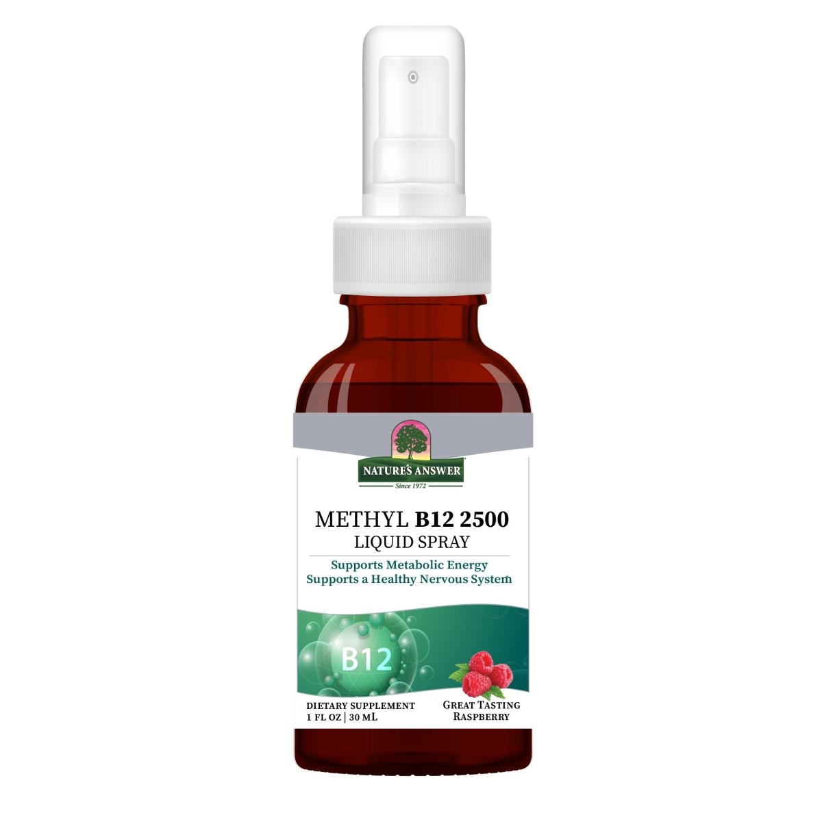 B12 Methyl Liquid Spray 1 oz de Nature's Answer (foto de archivo)