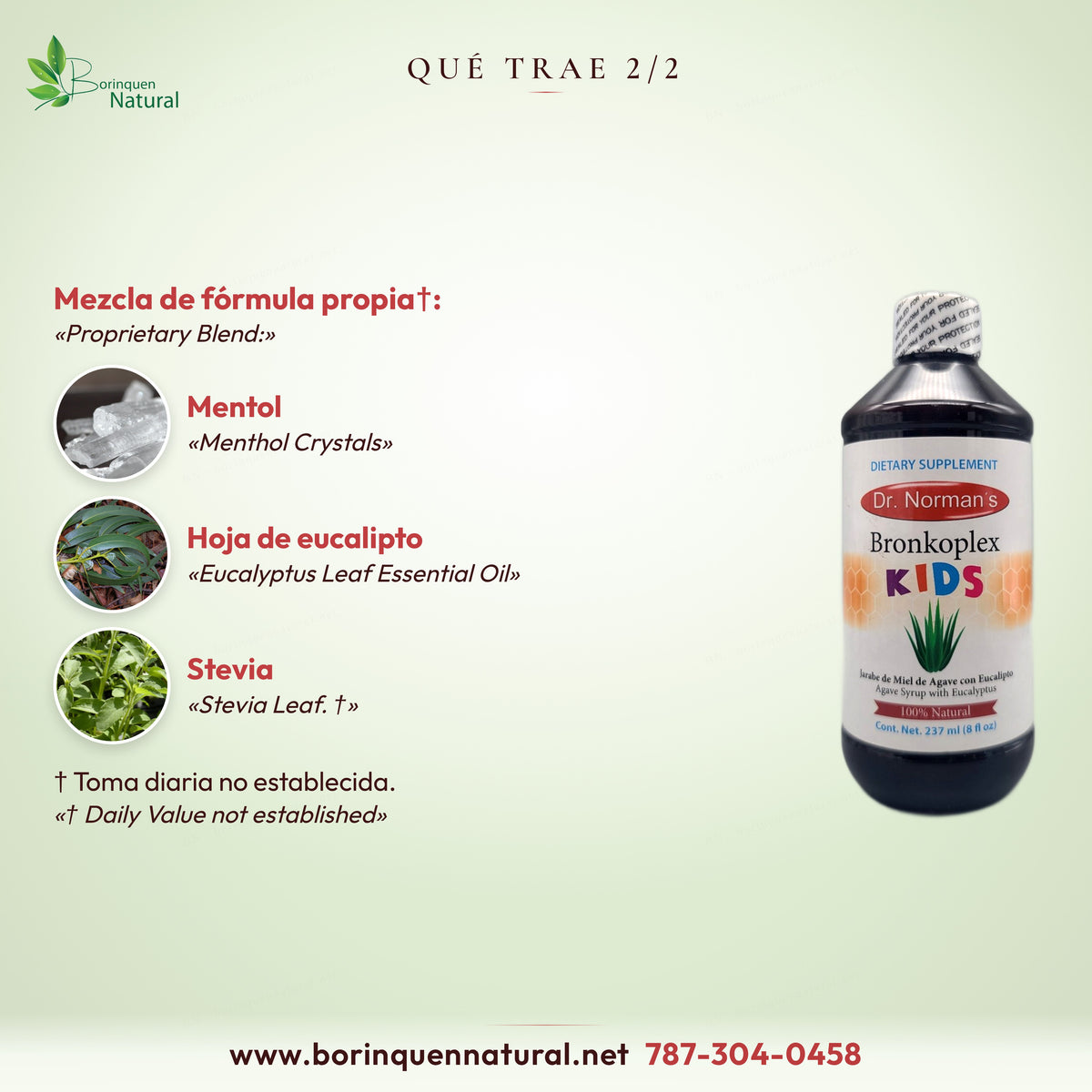 Qué trae Bronkoplex Kids, mezcla de fórmula propia 2/2: mentol, hoja de eucalipto y stevia