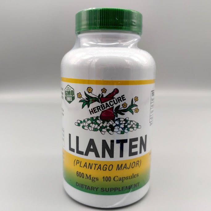 Cápsulas de Llantén - 600 Mg - 100 Capsules - Herbacure (foto de archivo)