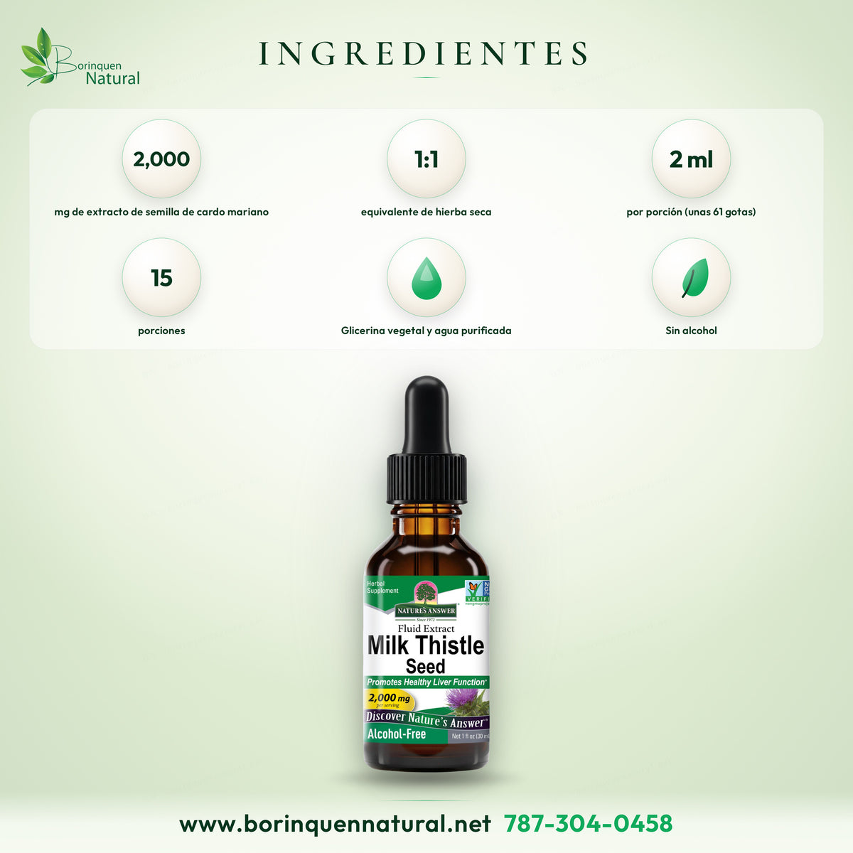 Ingredientes del Milk Thistle sin alcohol de Nature's Answer: 2,000 mg de extracto de semilla de cardo mariano 1:1 por porción de 2 ml, en glicerina vegetal y agua purificada