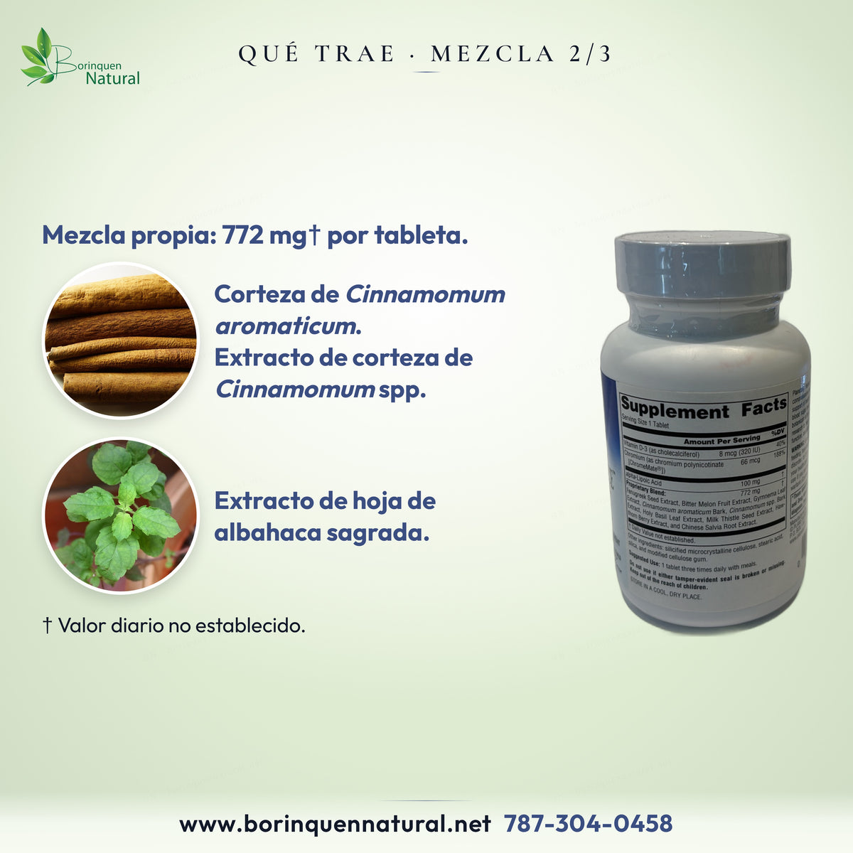 Mezcla propia, 772 mg: corteza de Cinnamomum aromaticum, extracto de corteza de Cinnamomum spp. y albahaca sagrada.