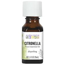 Essential Oil Citronella Java 0.5 fl oz de Aura Cacia (foto de archivo)