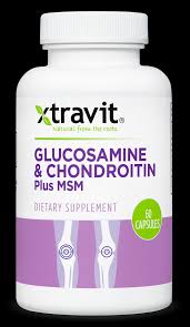 Glucosamine & Chondroitin Plus MSM 60 Caps