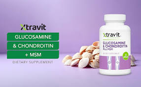 Glucosamine & Chondroitin Plus MSM 60 Caps