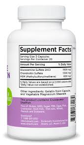 Glucosamine & Chondroitin Plus MSM 60 Caps