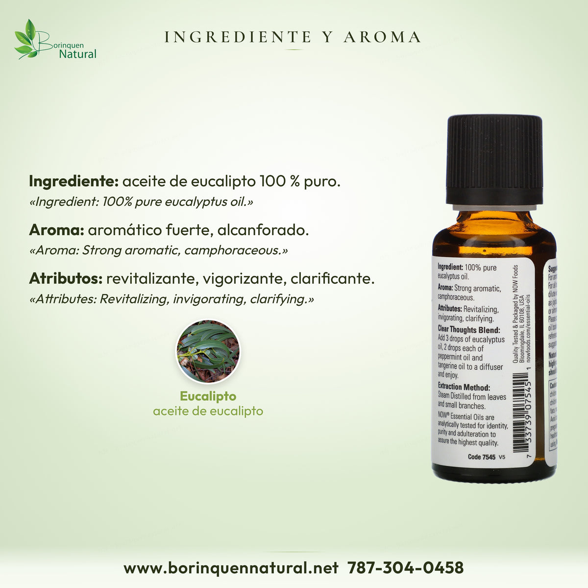 Eucalipto NOW: aceite de eucalipto 100 % puro; aroma aromático fuerte, alcanforado; revitalizante, vigorizante, clarificante