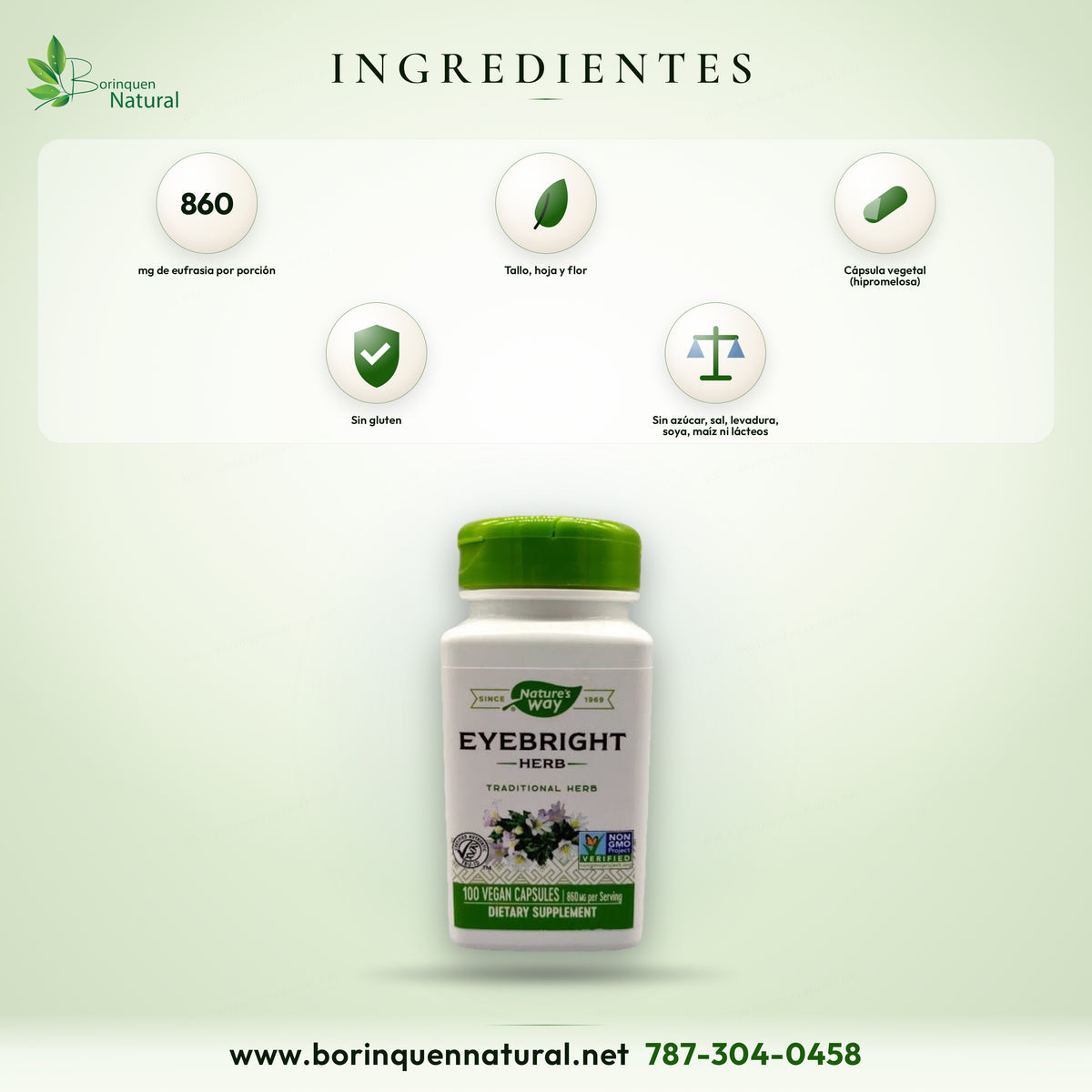 Ingredientes del Eyebright de Nature's Way: 860 mg de eufrasia (tallo, hoja y flor) en cápsula vegetal