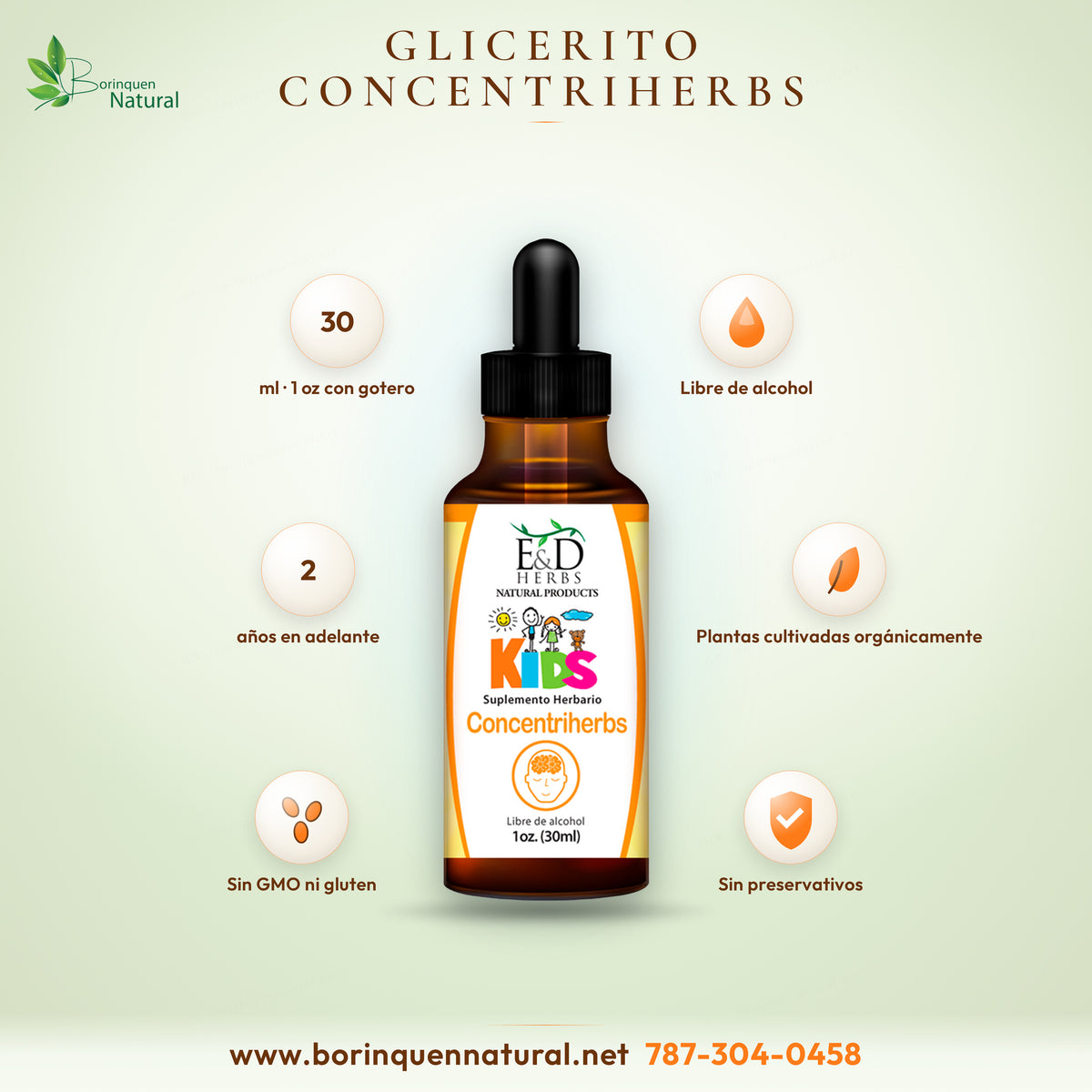 Glicerito Concentriherbs KIDS de E&D Herbs, suplemento herbario libre de alcohol en frasco gotero ámbar de 1 oz (30 ml)