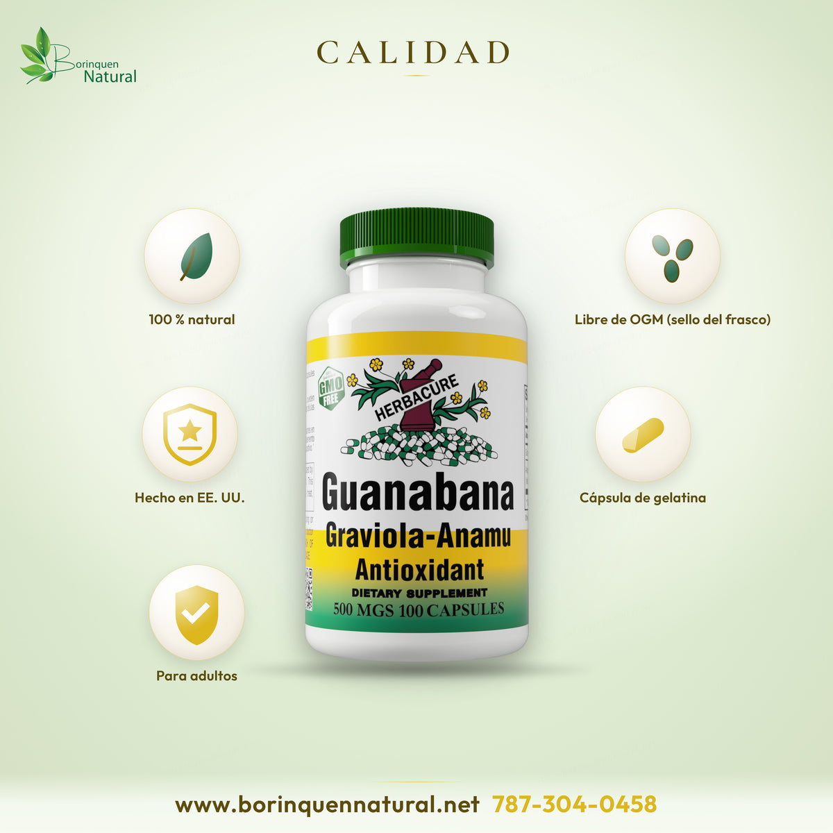 Guanábana Graviola-Anamú de Herbacure: 100 % natural, libre de OGM, hecho en EE. UU., cápsula de gelatina, para adultos