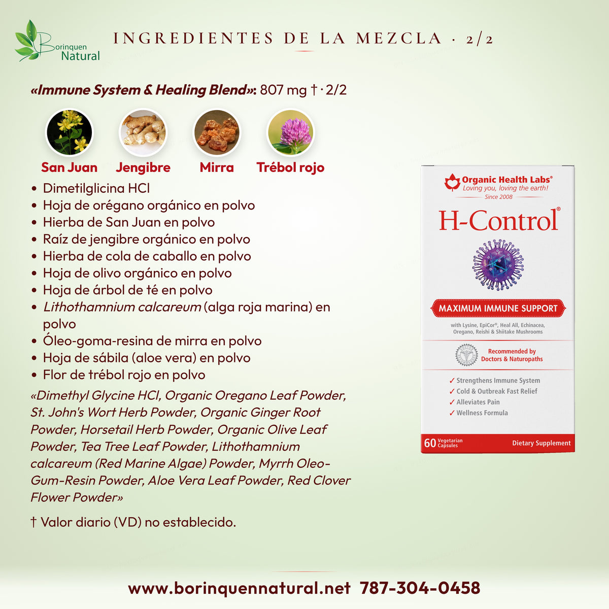 Mezcla de H-Control (2 de 2): dimetilglicina, orégano, hierba de San Juan, jengibre, cola de caballo, olivo y otros
