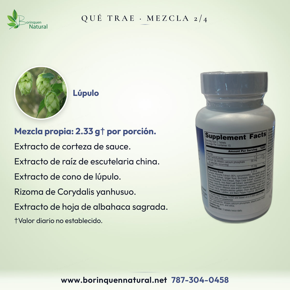 Inflama-Care: mezcla con sauce, escutelaria china, lúpulo, Corydalis y albahaca sagrada.