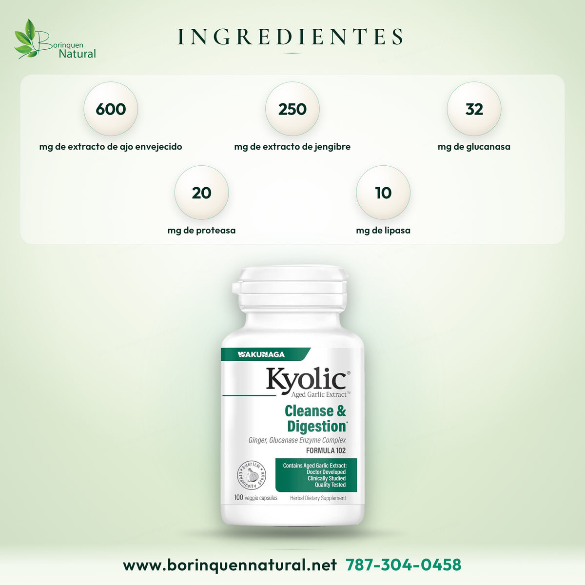 Ingredientes del Kyolic Formula 102 por 2 cápsulas: extracto de ajo envejecido 600 mg, extracto de jengibre 250 mg, glucanasa 32 mg, proteasa 20 mg y lipasa 10 mg