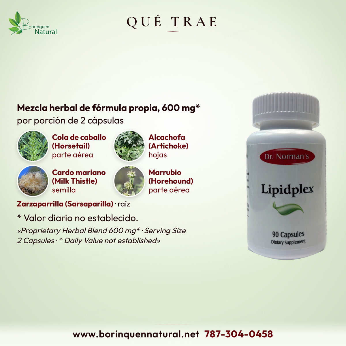 Qué trae Lipidplex: cola de caballo, alcachofa, cardo mariano, marrubio y zarzaparrilla en mezcla de 600 mg*