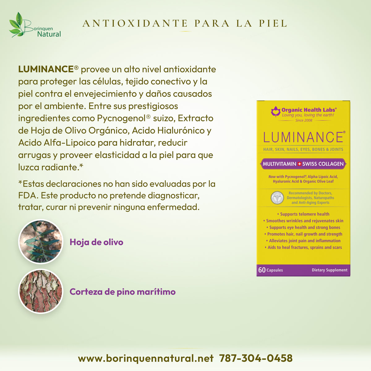 Luminance: alto nivel antioxidante con Pycnogenol, extracto de hoja de olivo, ácido hialurónico y ácido alfa lipoico