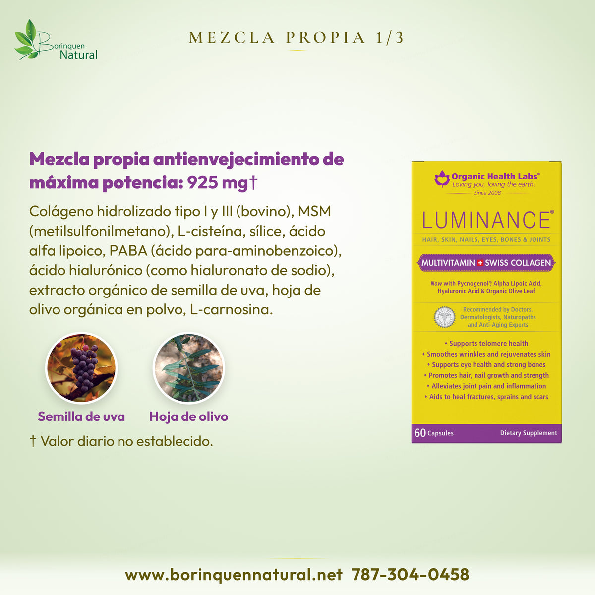 Mezcla propia de 925 mg de Luminance: colágeno tipo I y III, MSM, ácido hialurónico, semilla de uva y otros