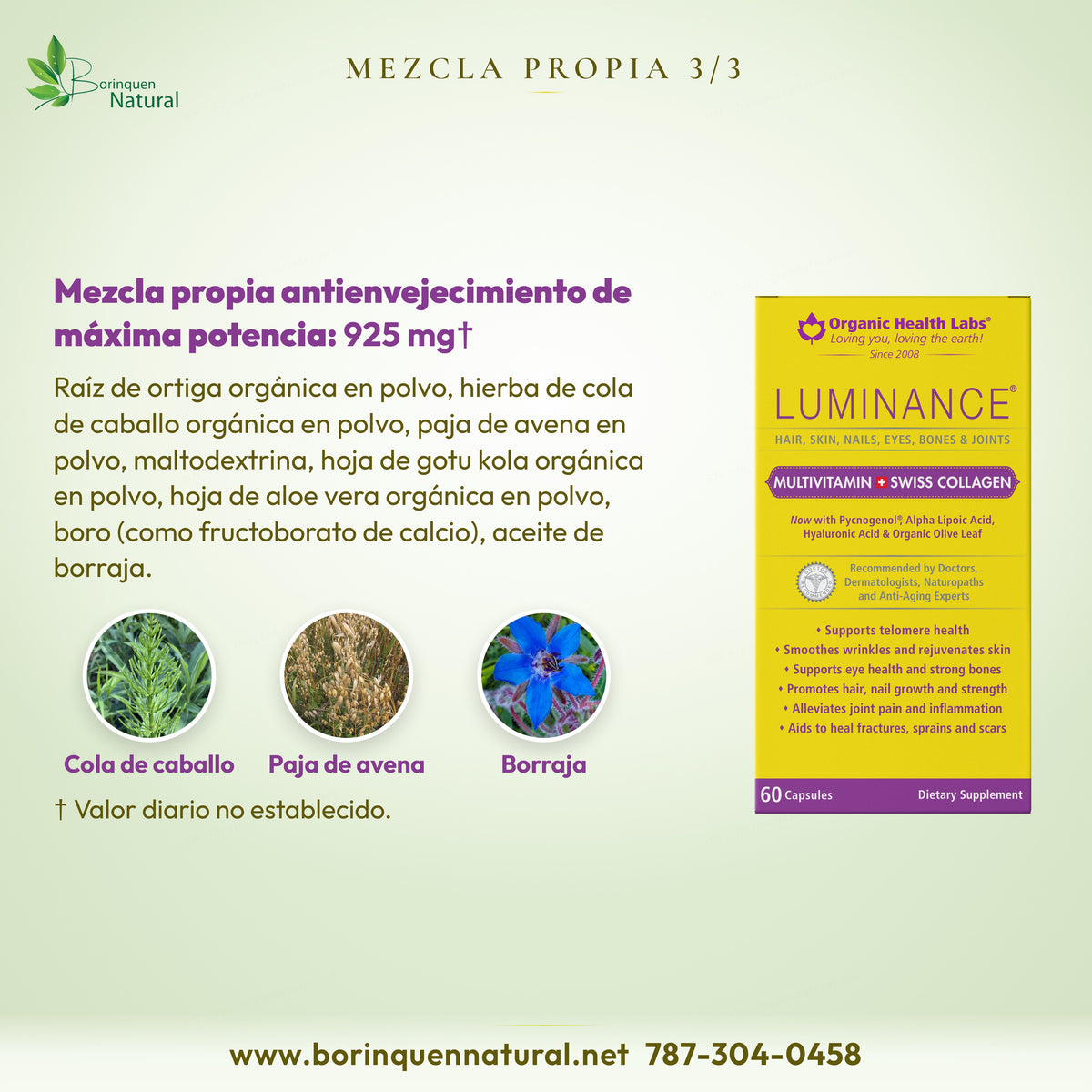 Mezcla propia de Luminance: ortiga, cola de caballo, paja de avena, gotu kola, aloe vera, aceite de borraja y otros