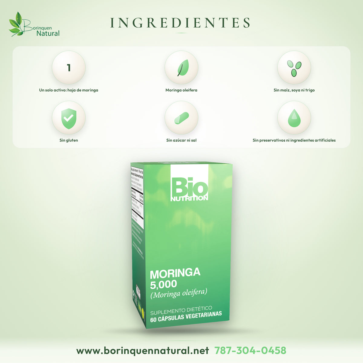 Ingredientes de la Moringa 5,000 de Bio Nutrition: extracto 10:1 de hoja de moringa, libre de levadura, maíz, azúcar, sal, trigo, soya, gluten y preservativos
