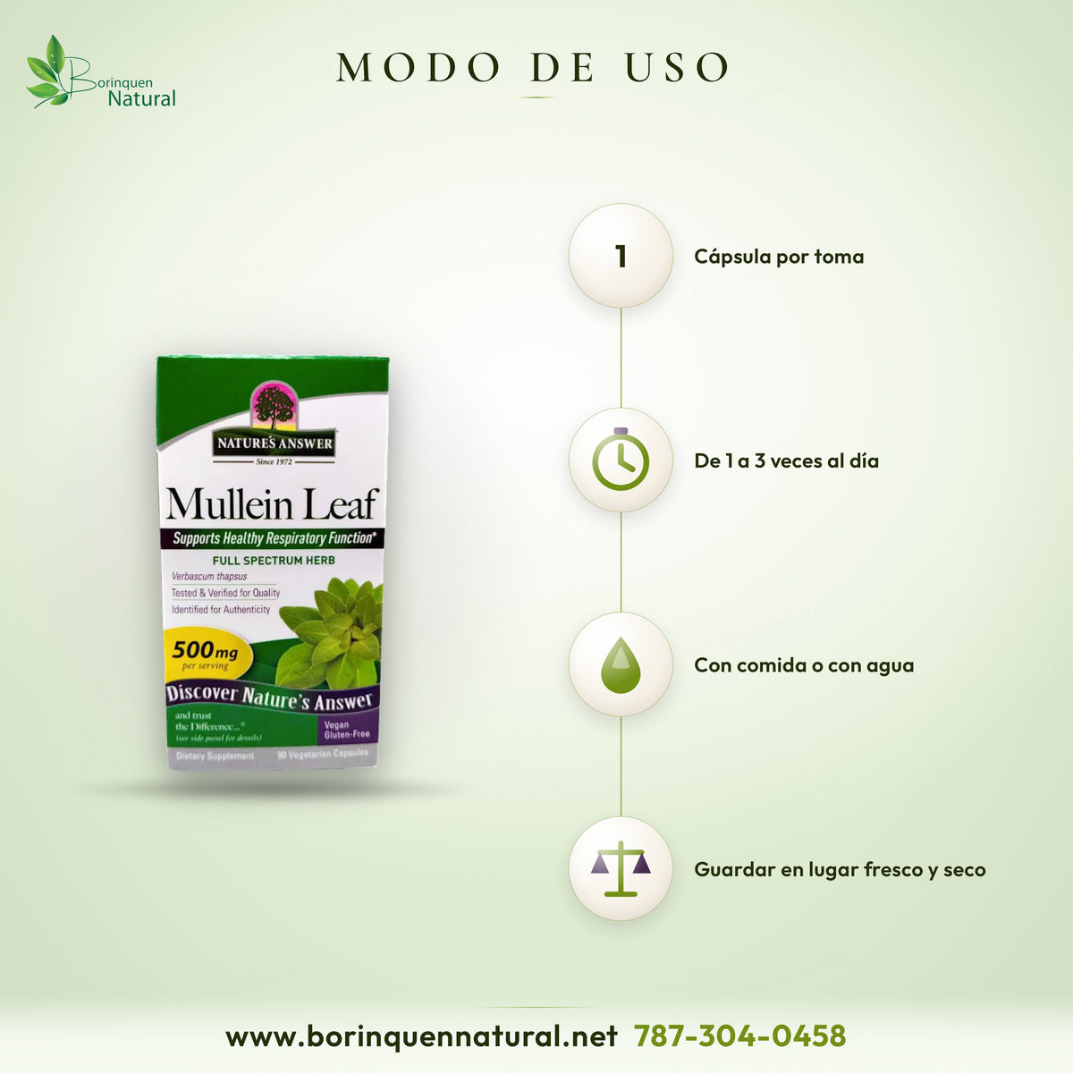 Modo de uso del gordolobo de Nature's Answer: una cápsula de 1 a 3 veces al día con comida o agua; guardar en lugar fresco y seco