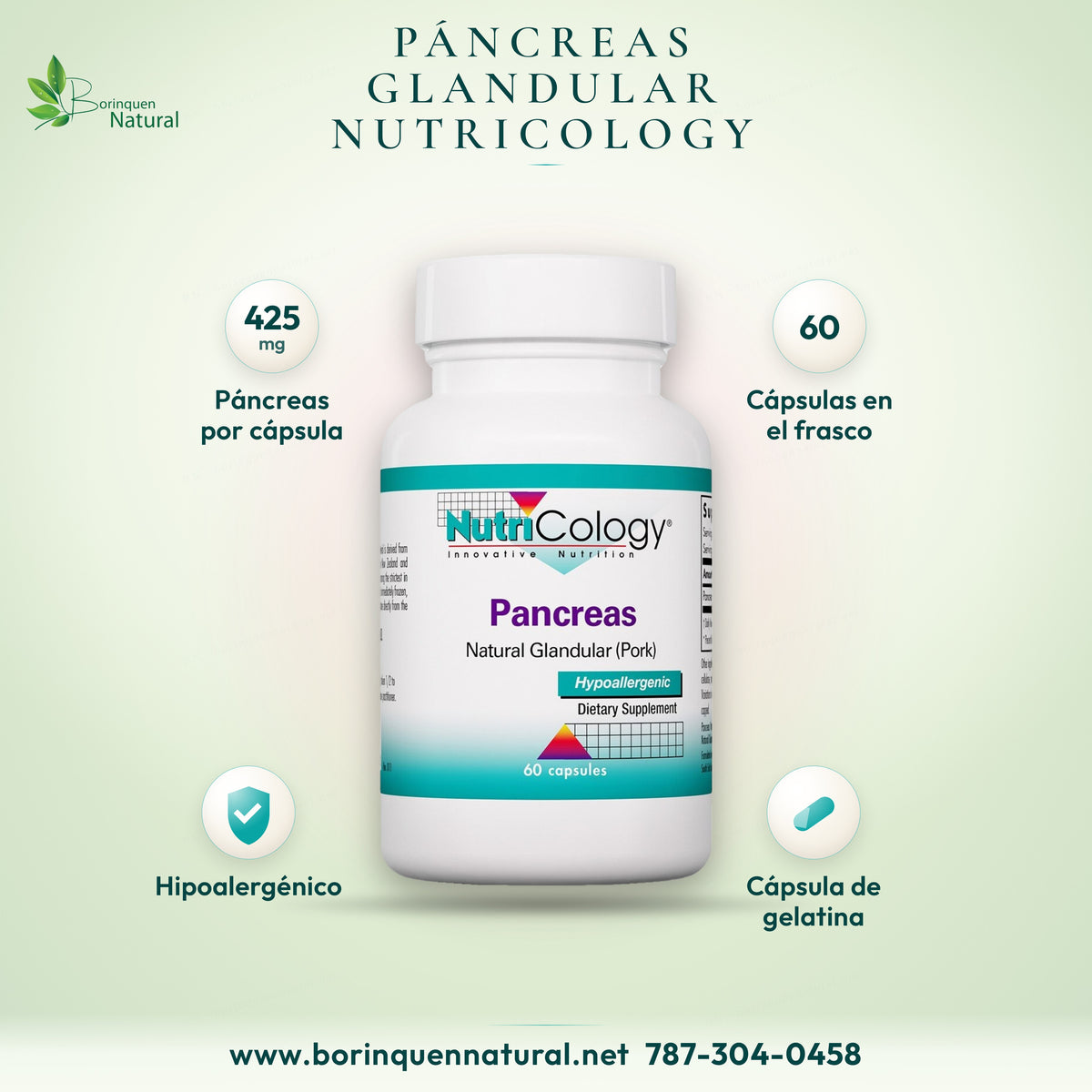 Páncreas glandular de cerdo NutriCology, 425 mg por cápsula, frasco de 60 cápsulas de gelatina bovina