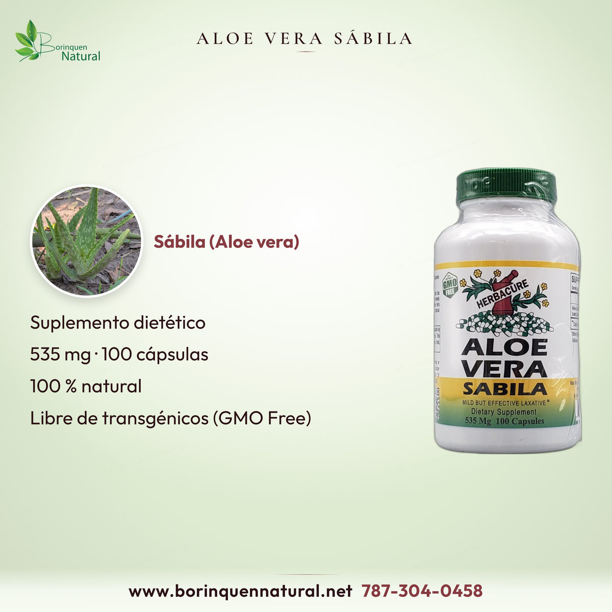 Aloe Vera Sábila de Herbacure: suplemento dietético 100 % natural, libre de transgénicos, 535 mg, 100 cápsulas