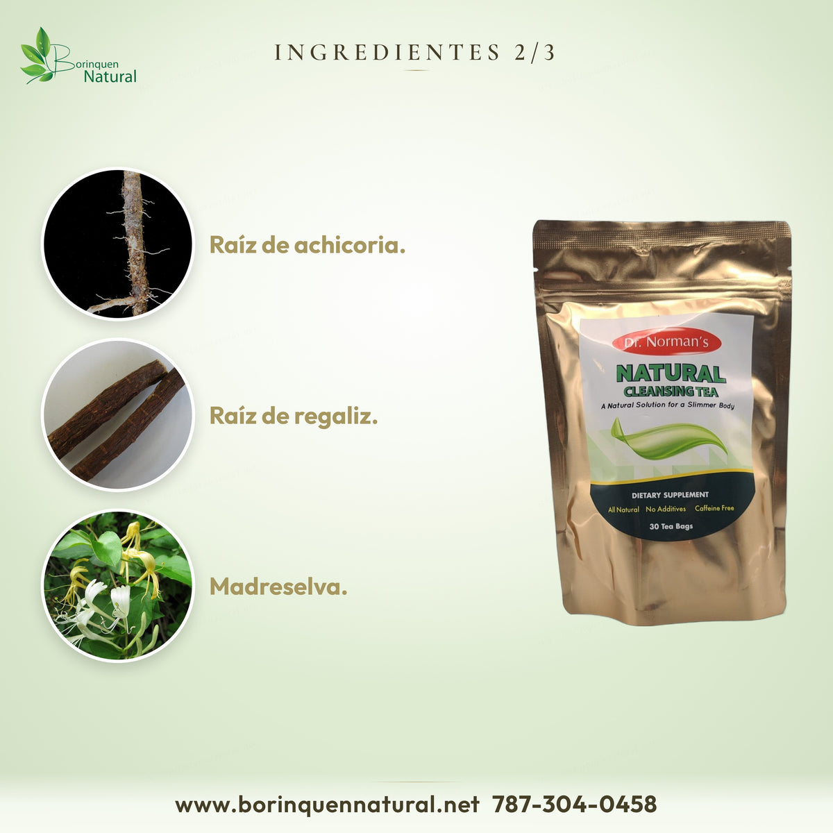 Ingredientes del Natural Cleansing Tea: raíz de achicoria, raíz de regaliz y madreselva