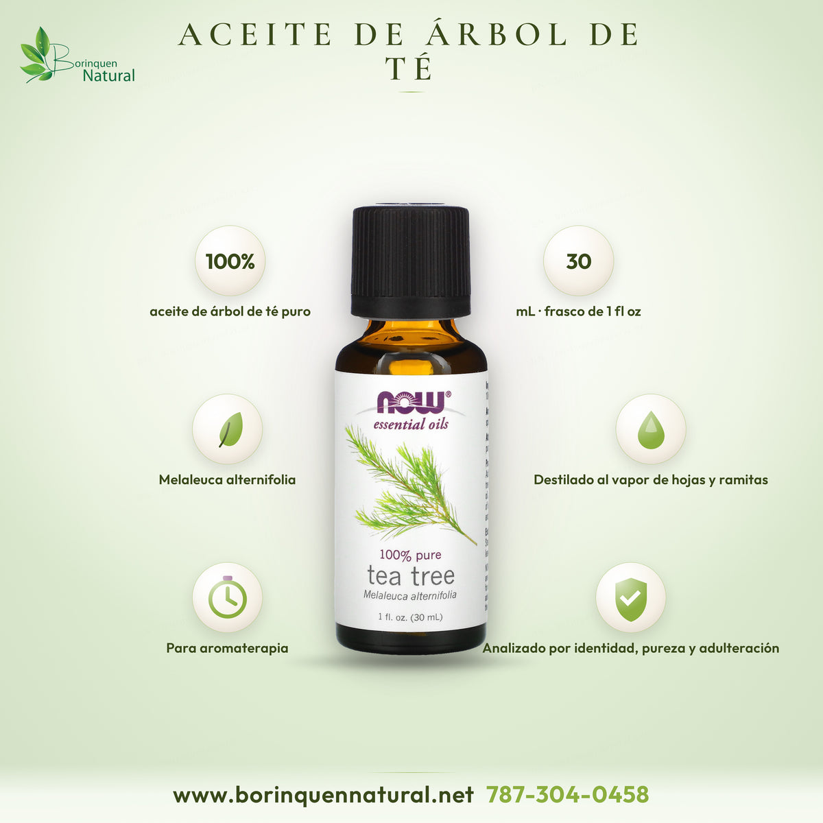 NOW Essential Oils 100% pure tea tree essential oil, Melaleuca alternifolia, 1 fl oz bottle