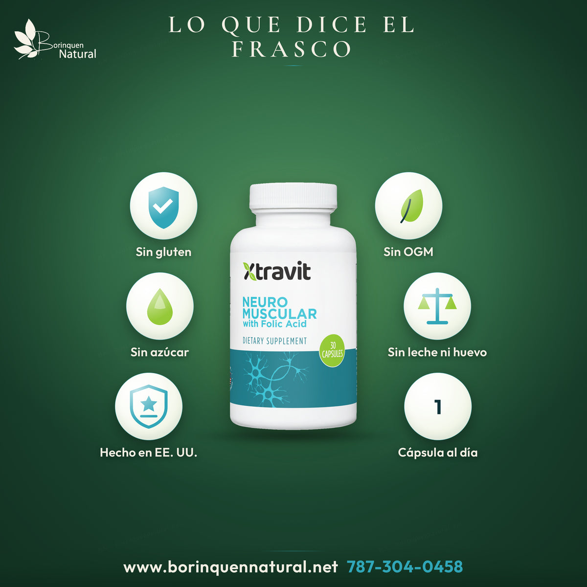Xtravit Neuro Muscular: gluten free, GMO free, sugar free, no milk or egg, no peanuts or soy, made in the USA