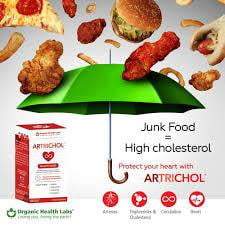 Artrichol Organic Health Labs 60 cápsulas vegetarianas para colesterol — vista posterior del envase