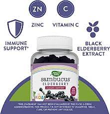 Sambucus Kid Gummies 60 GUMMY de Natures Way (foto de archivo)