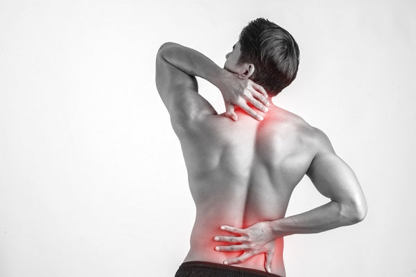 Bienestar muscular y articular