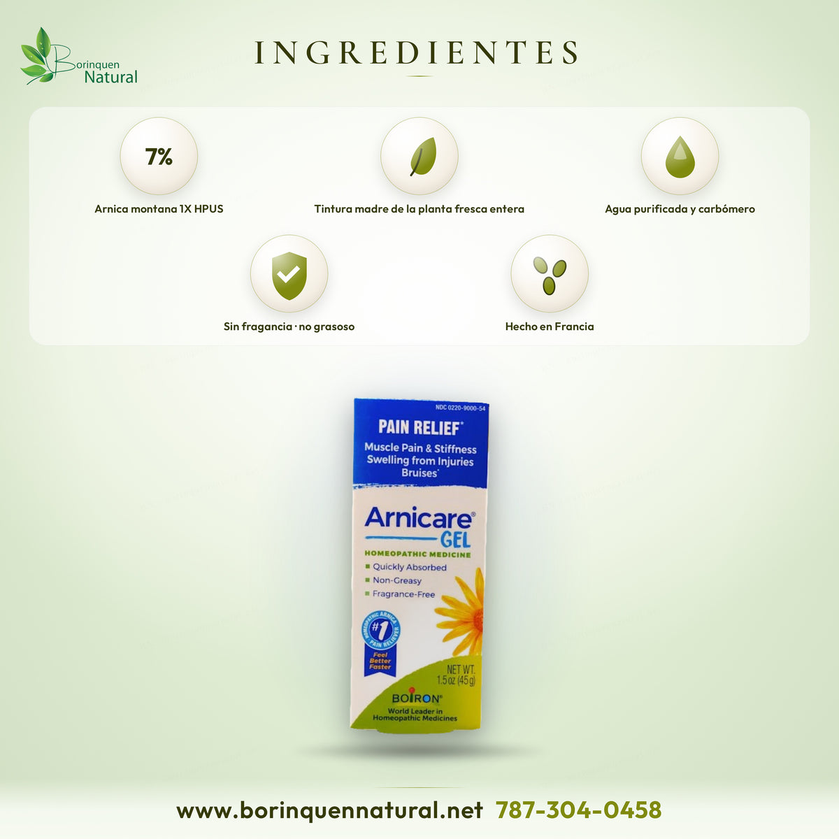 Arnicare Gel ingredients: Arnica montana 1X HPUS 7%, mother tincture from the fresh whole plant, made in France