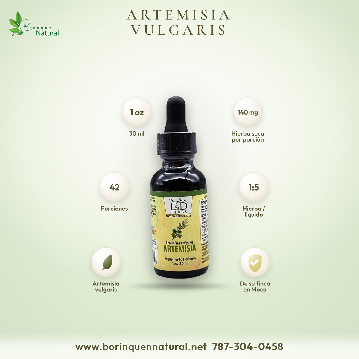 Artemisia vulgaris de E&D Herbs, tintura de 1 oz, 140 mg de hierba por porción