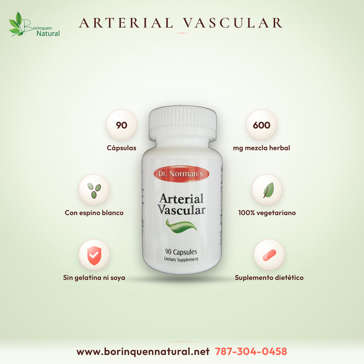 Arterial Vascular de Dr. Norman's, suplemento dietético con mezcla herbal de alcachofa, cola de caballo, zarzaparrilla y espino blanco, 90 cápsulas