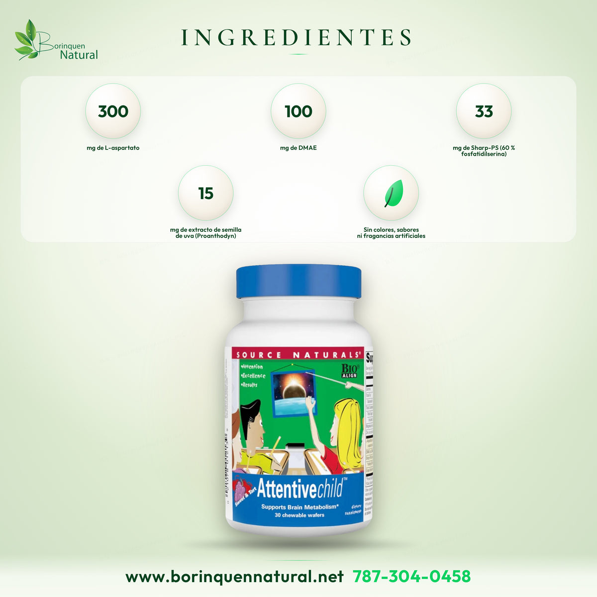 Ingredientes de Attentive Child: L-aspartato, DMAE, Sharp-PS de soya con fosfatidilserina, semilla de uva, magnesio y zinc