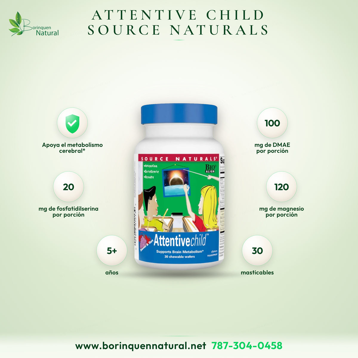 Attentive Child de Source Naturals, 30 masticables sabor dulce y ácido que apoyan el metabolismo cerebral