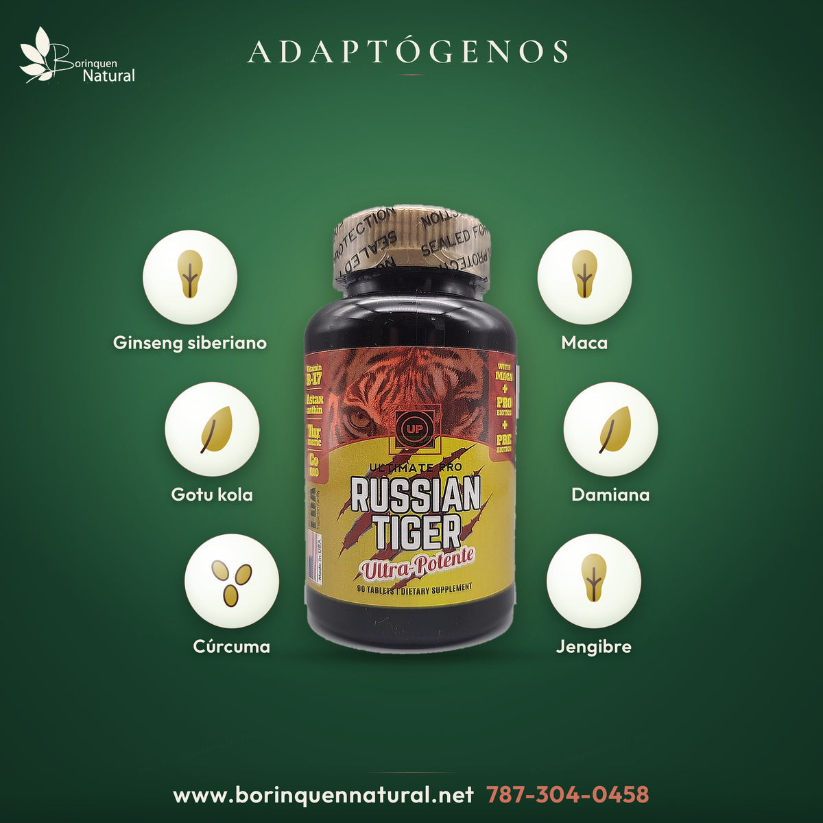 Adaptógenos de Russian Tiger: ginseng siberiano, maca, gotu kola, damiana, cúrcuma y jengibre