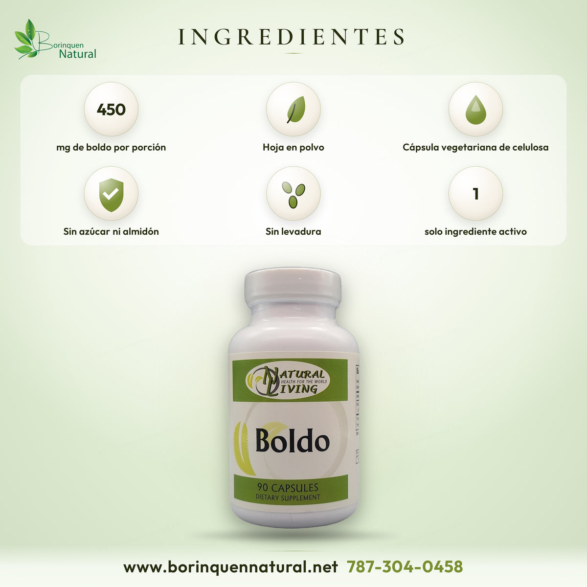 Ingredientes del Boldo Natural Living: 450 mg de hoja de boldo en polvo por porción de 3 cápsulas, en cápsulas vegetarianas de celulosa