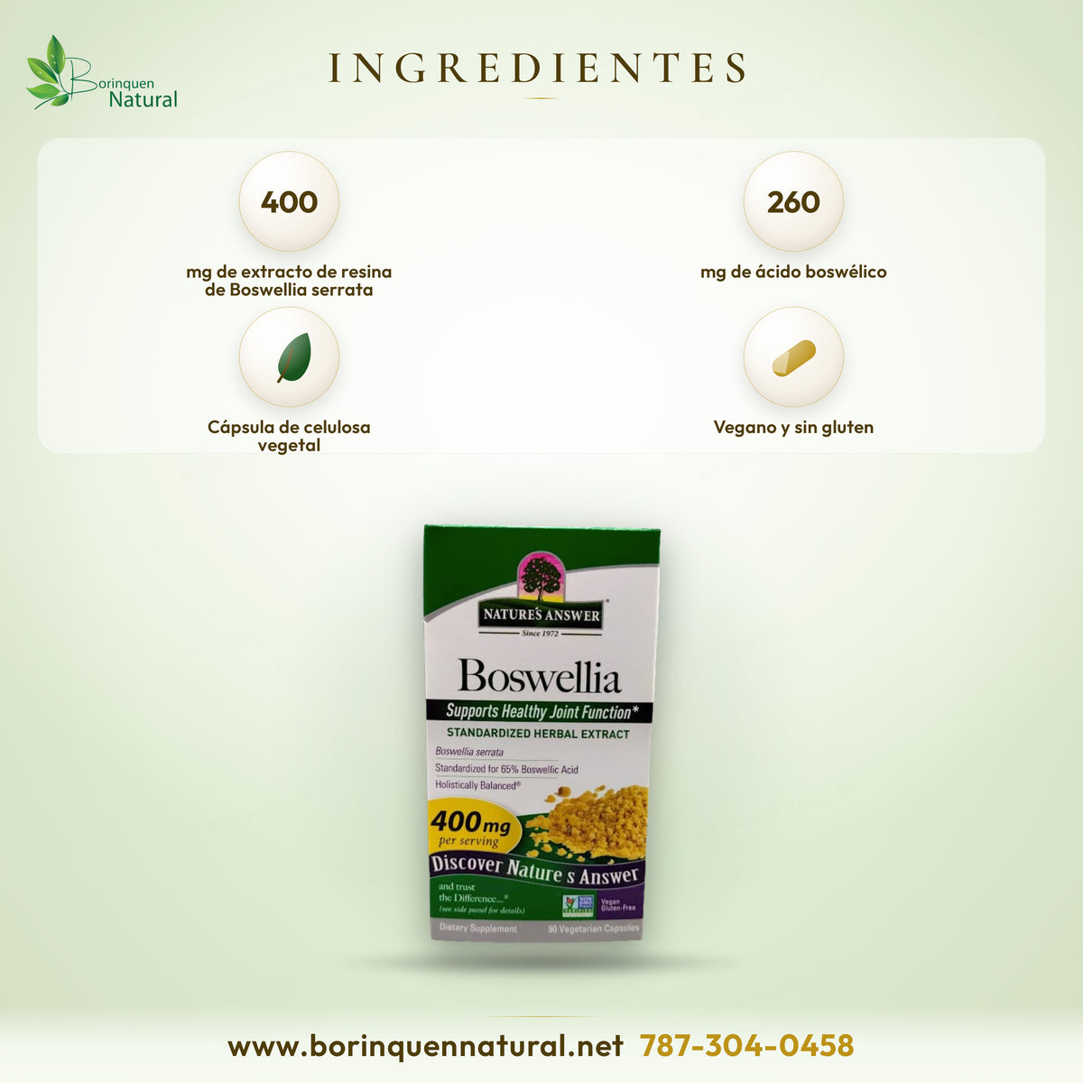 Ingredientes de la Boswellia de Nature's Answer: 400 mg de extracto de resina serrata con 260 mg de ácido boswélico