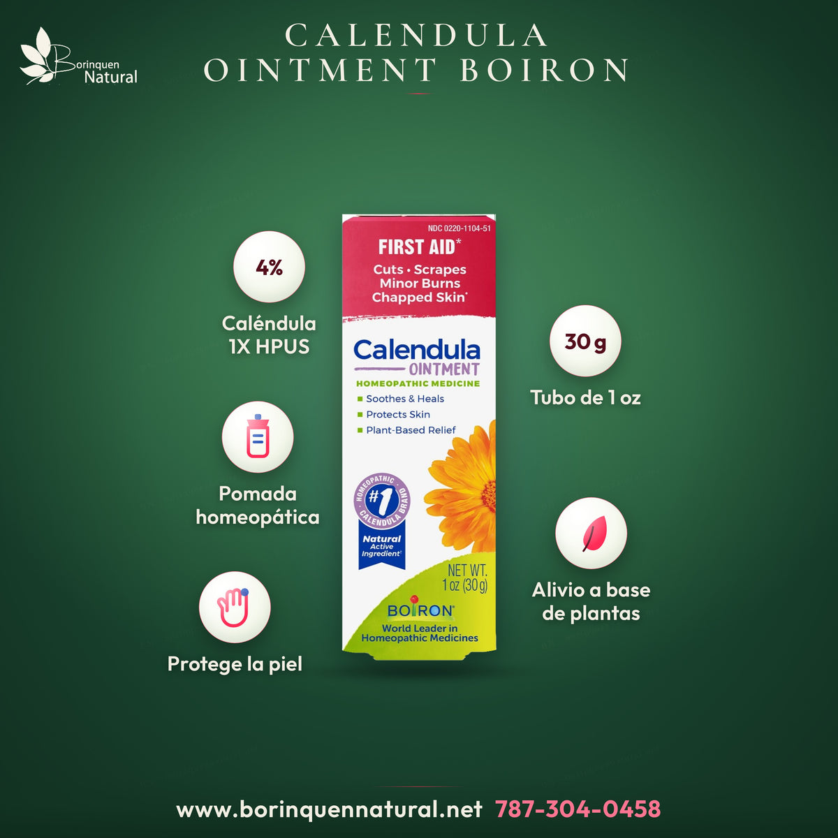 Calendula Ointment de Boiron, pomada homeopática con caléndula 1X HPUS al 4 %, 1 oz (30 g)