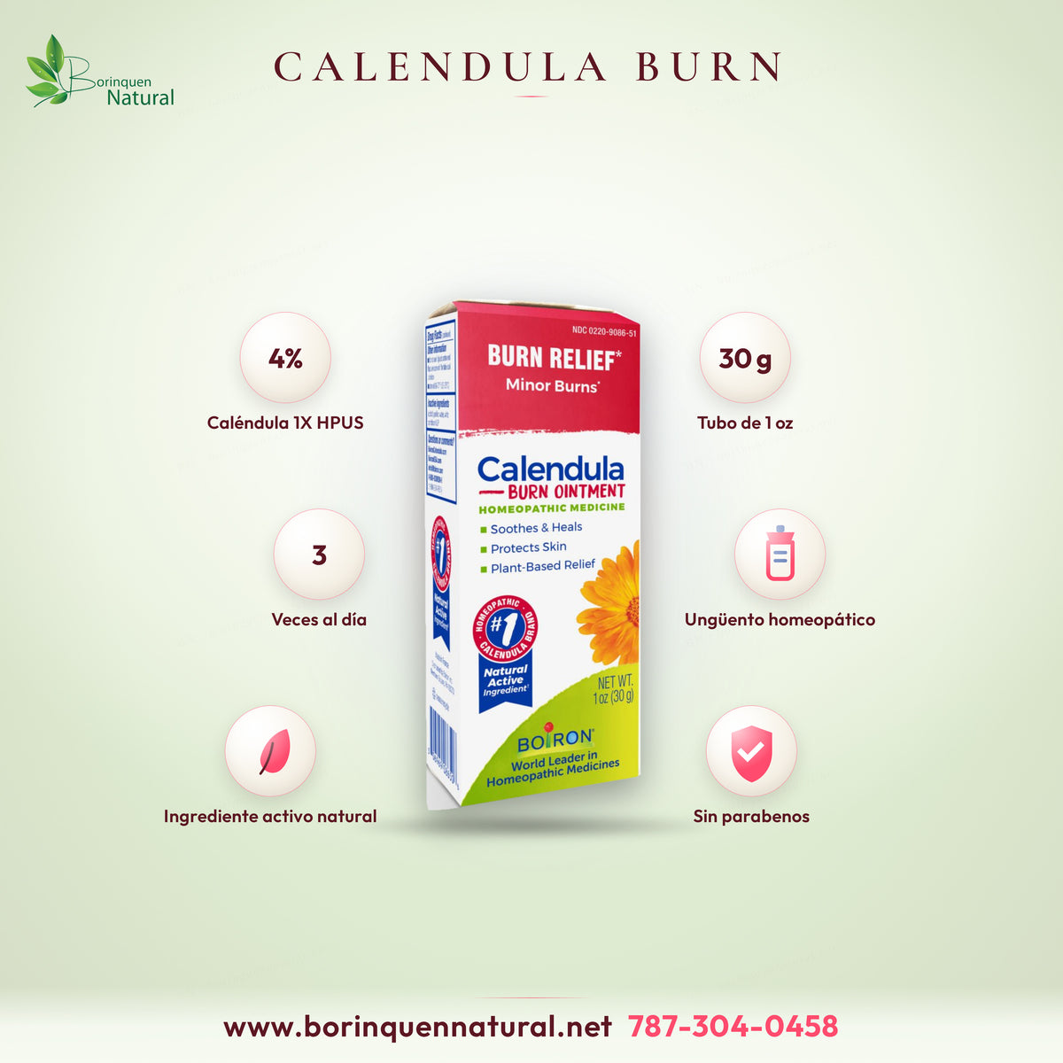 Calendula Burn Ointment de Boiron, ungüento homeopático de caléndula, caja de 1 oz (30 g)