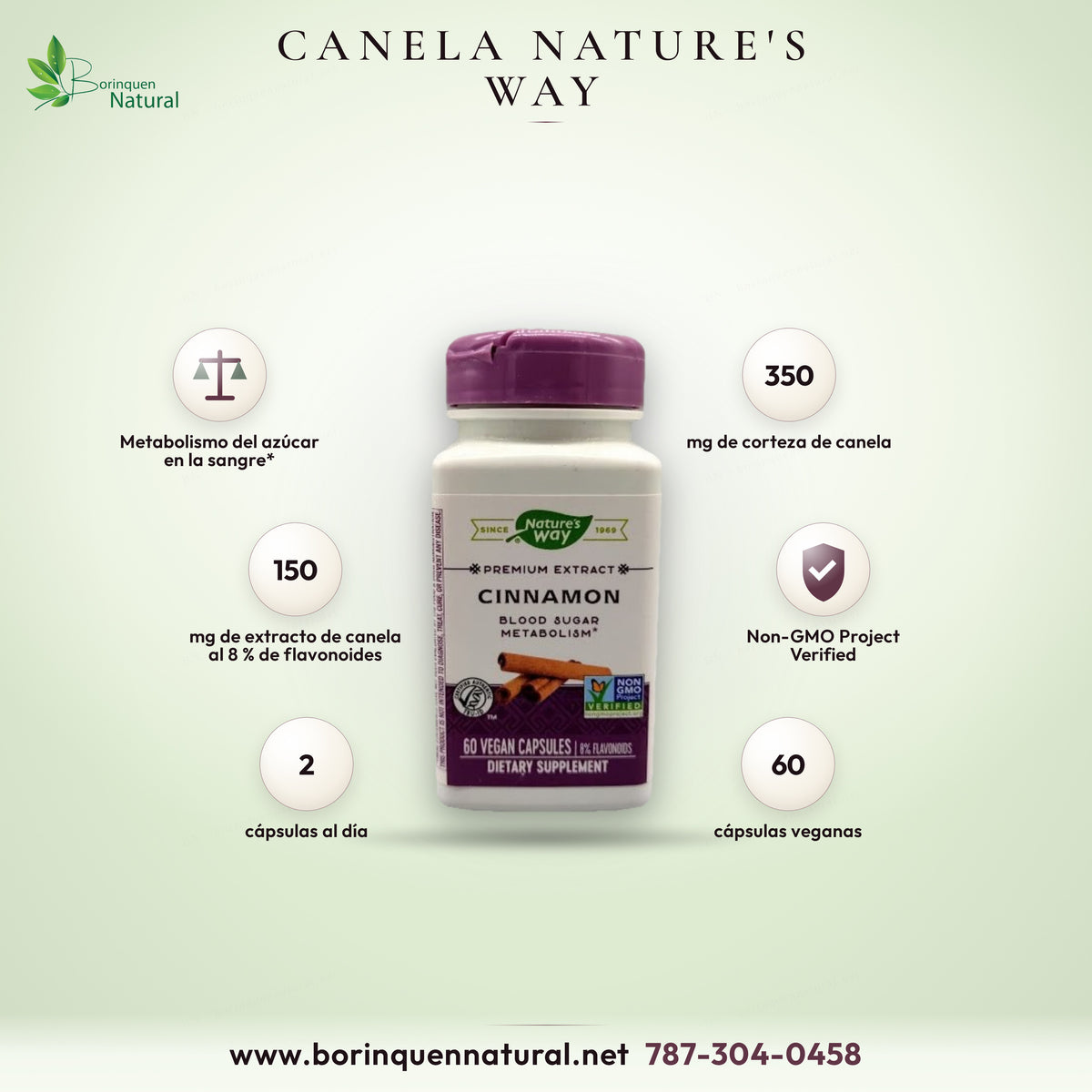 Cinnamon Premium Extract de Nature's Way, metabolismo del azúcar en la sangre, extracto de canela, 60 cápsulas veganas