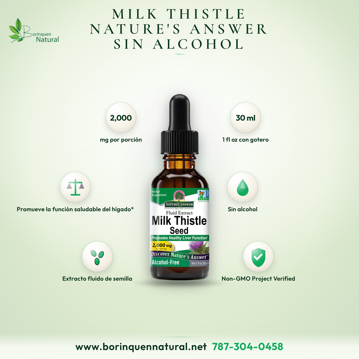 Extracto fluido de semilla de cardo mariano (Milk Thistle) de Nature's Answer sin alcohol, 2,000 mg por porción, gotero de 1 fl oz (30 ml)